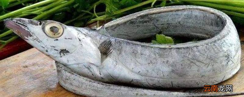 炸过带鱼的油怎么除腥味