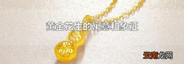 黄金花生的寓意和象征