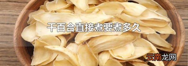 干百合直接煮要煮多久