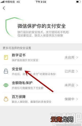 微信APP打开微信支付安全锁的方法