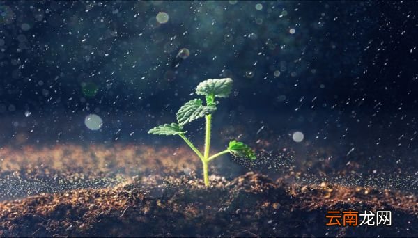 降雨量100毫米是多少 降雨量100毫米是什么意思