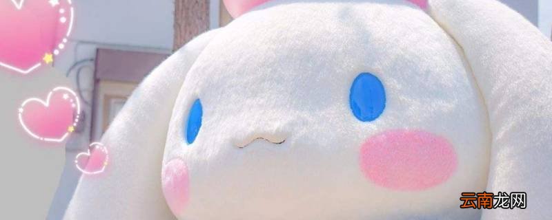 玉桂狗还是月桂狗