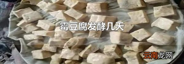 霉豆腐发酵几天