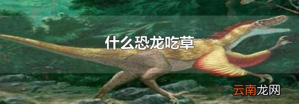什么恐龙吃草