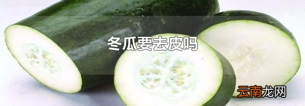 冬瓜要去皮吗