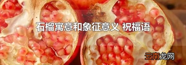 石榴寓意和象征意义 祝福语