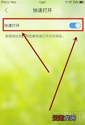 QQ浏览器APP设置快速打开的操作方法