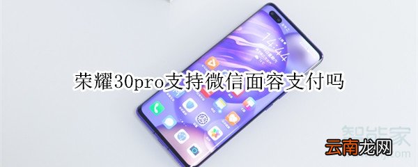 荣耀30pro支持微信面容支付吗