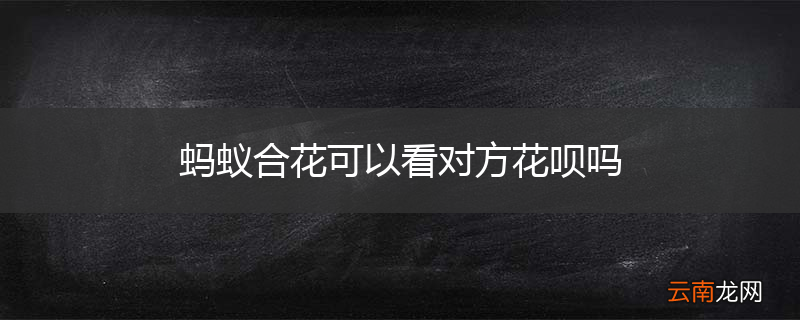 蚂蚁合花可以看对方花呗吗