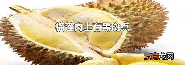 榴莲肉上有黑斑点