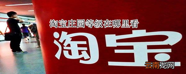 淘宝庄园等级在哪里看