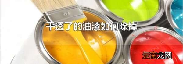 干透了的油漆如何除掉