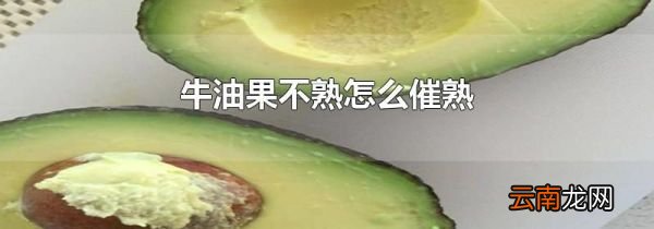 牛油果不熟怎么催熟