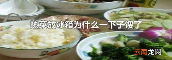 热菜放冰箱为什么一下子馊了