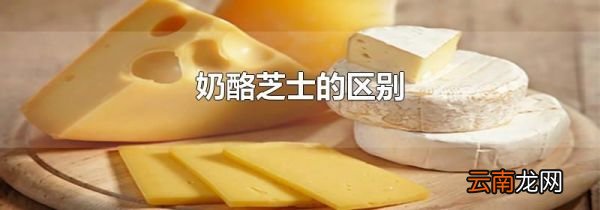 奶酪芝士的区别