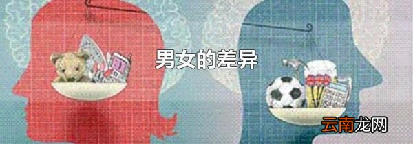 男女的差异