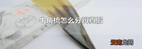 牛角梳怎么分辨真假
