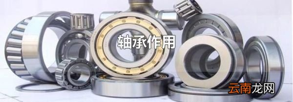 轴承作用