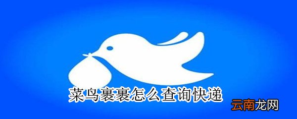 菜鸟裹裹怎么查询快递