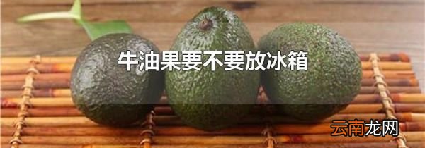 牛油果要不要放冰箱