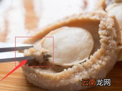怎么发干鲍鱼又软又糯