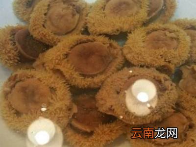 怎么发干鲍鱼又软又糯
