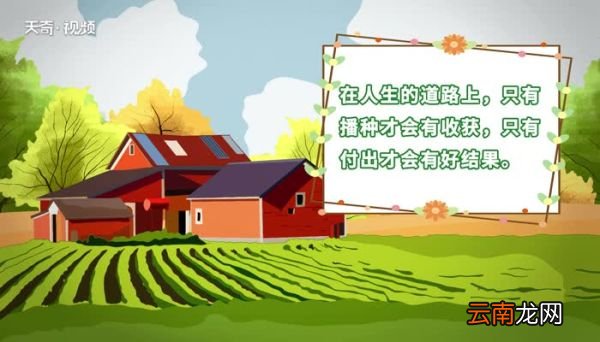 付出与收获的正能量句子 关于付出与收获的正能量句子