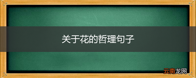 关于花的哲理句子