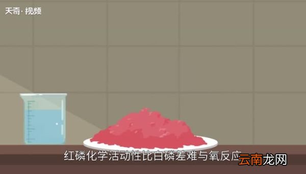 红磷和白磷的区别 白磷和红磷有什么不同