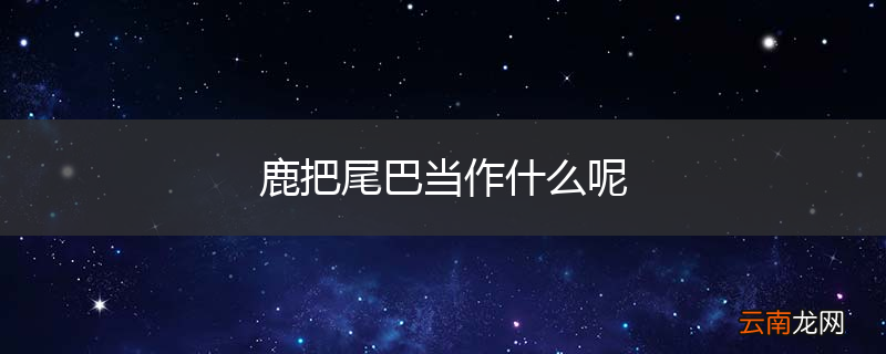 鹿把尾巴当作什么呢