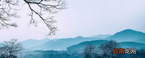 偏安一隅不失桑榆的意思 偏安一隅后半句是什么