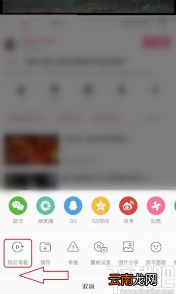 哔哩哔哩APP设置稍后再看的操作方法
