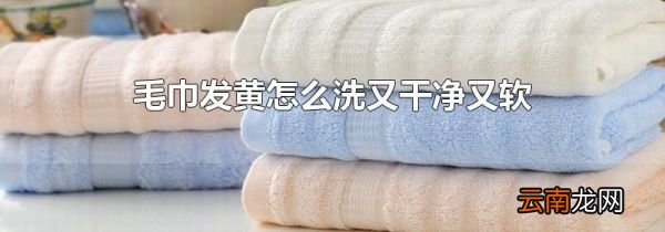 毛巾发黄怎么洗又干净又软