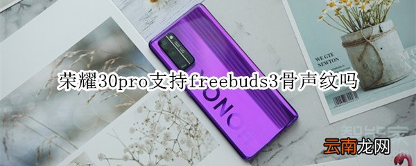 荣耀30pro支持freebuds3骨声纹吗