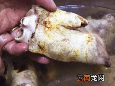 猪爪怎么收拾干净