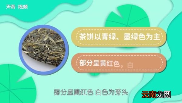 生普洱和熟普洱的区别 生普洱和熟普洱有什么区别