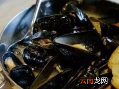 贻贝怎么清洗
