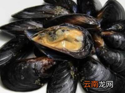 贻贝怎么清洗