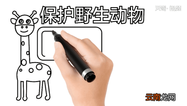 爱护野生动物手抄报 爱护野生动物画报