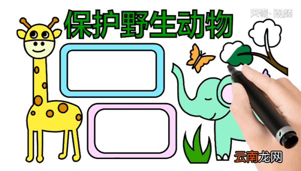 爱护野生动物手抄报 爱护野生动物画报
