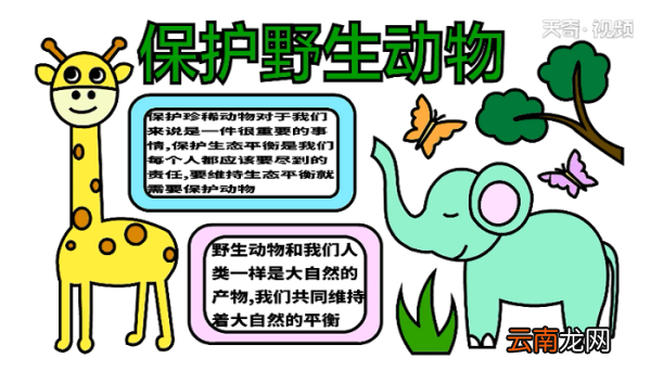 爱护野生动物手抄报 爱护野生动物画报