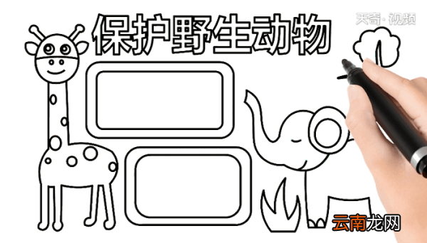 爱护野生动物手抄报 爱护野生动物画报