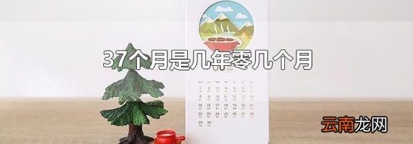 37个月是几年零几个月