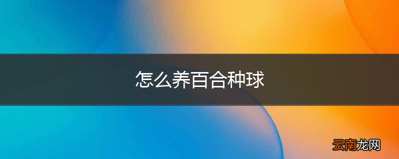 怎么养百合种球