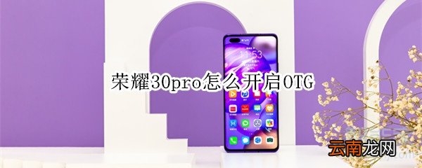 荣耀30pro怎么开启OTG