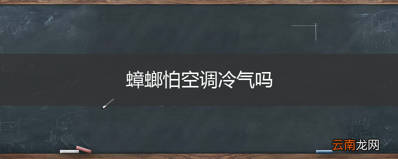蟑螂怕空调冷气吗