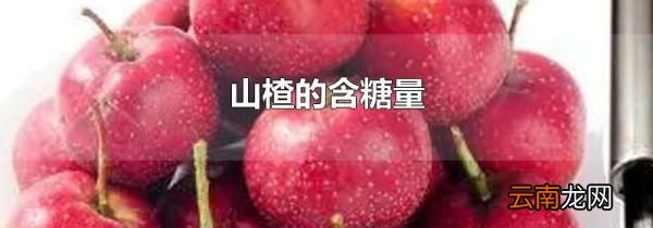山楂的含糖量