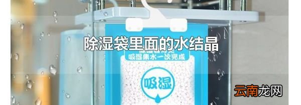 除湿袋里面的水结晶