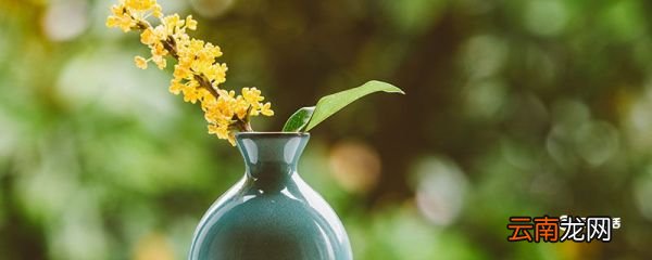 中秋节喝桂花酒意味着什么 中秋节喝桂花酒有什么寓意