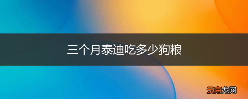 三个月泰迪吃多少狗粮